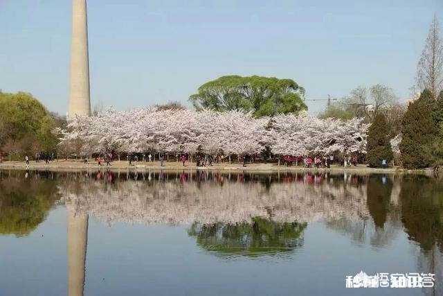 景区已经人山人海，如何拍一张有逼格的照片