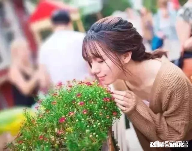 景区已经人山人海，如何拍一张有逼格的照片