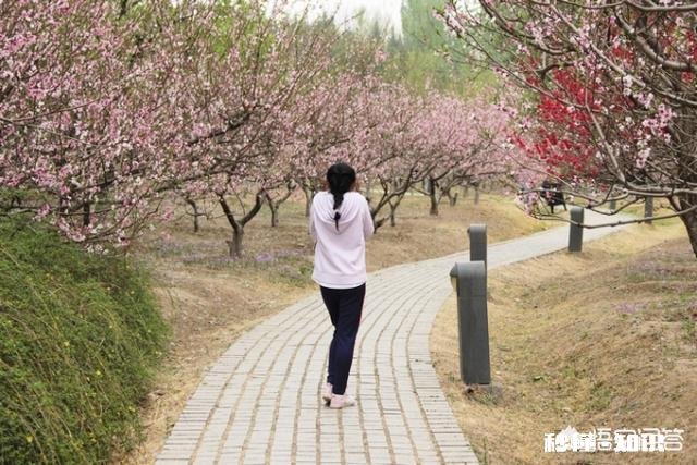 景区已经人山人海，如何拍一张有逼格的照片