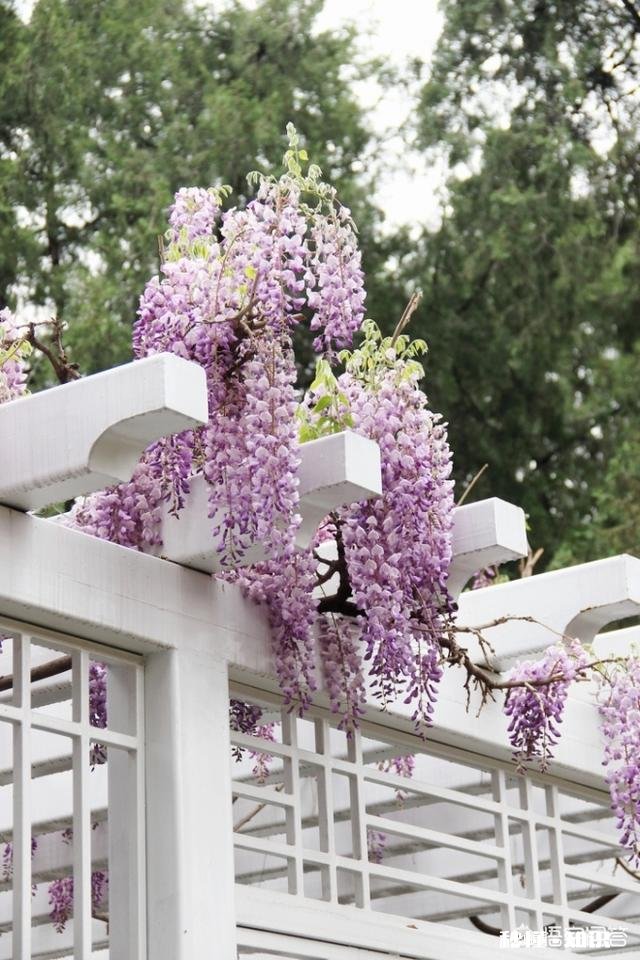 景区已经人山人海，如何拍一张有逼格的照片