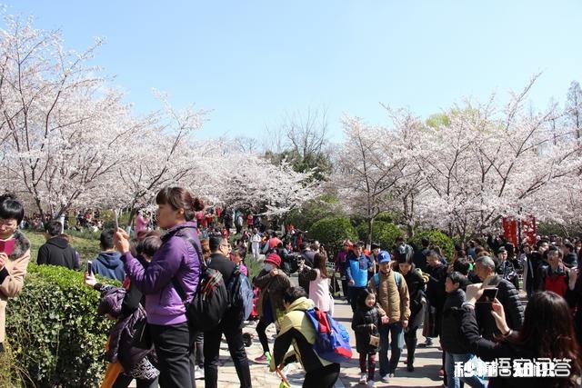 景区已经人山人海，如何拍一张有逼格的照片