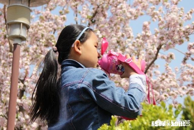 景区已经人山人海，如何拍一张有逼格的照片