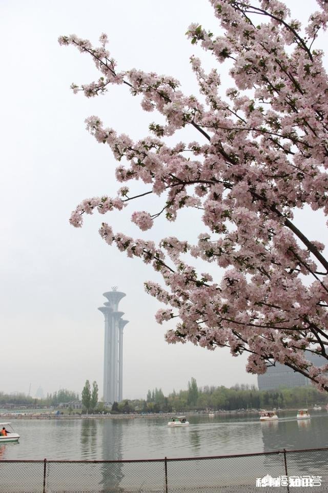 景区已经人山人海，如何拍一张有逼格的照片