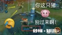 如何评价王者荣耀的坑