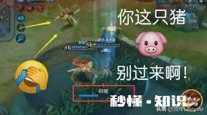 如何评价王者荣耀的坑