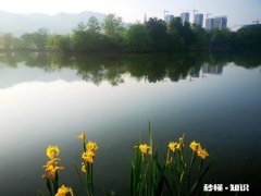 既然人们都知道开心很重要，为啥还有那么多人抑郁