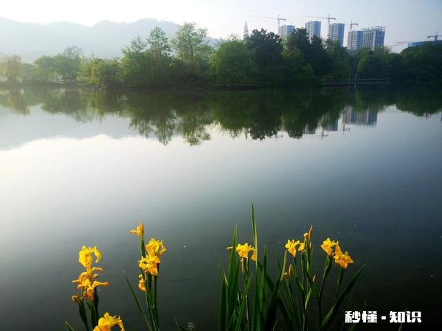 既然人们都知道开心很重要，为啥还有那么多人抑郁