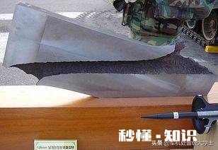 坦克炮发射的穿甲弹威力究竟如何