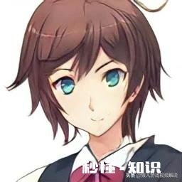 我的世界网易版怎样不用模组突破156格高