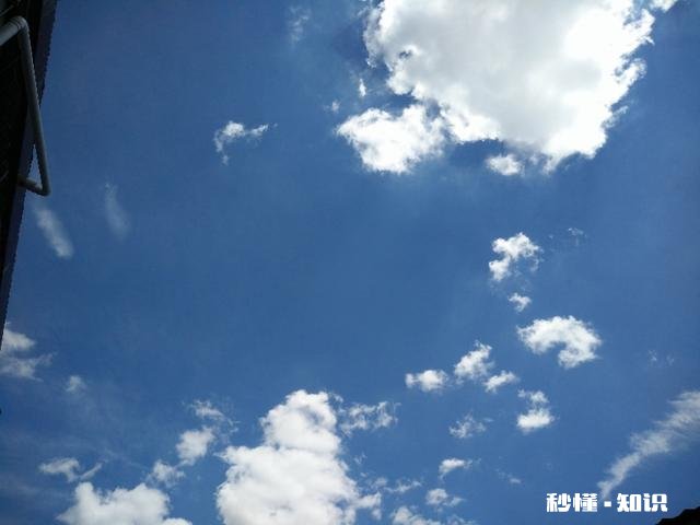 您对那些特有“面缘、情缘”的人怎么看值得深交吗