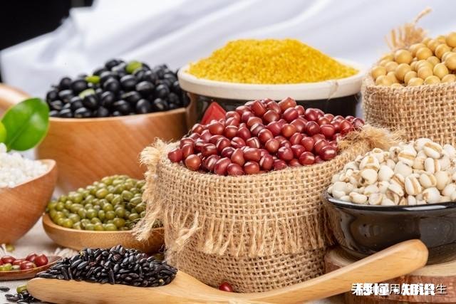 “改稻为桑”的国策是如何被推翻的