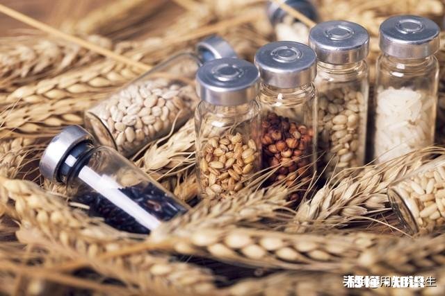 “改稻为桑”的国策是如何被推翻的