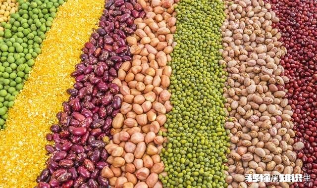 “改稻为桑”的国策是如何被推翻的