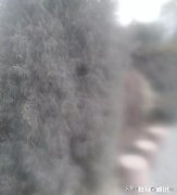 核酸检测点都取消了，大家还怎么知道自己是不是小阳人