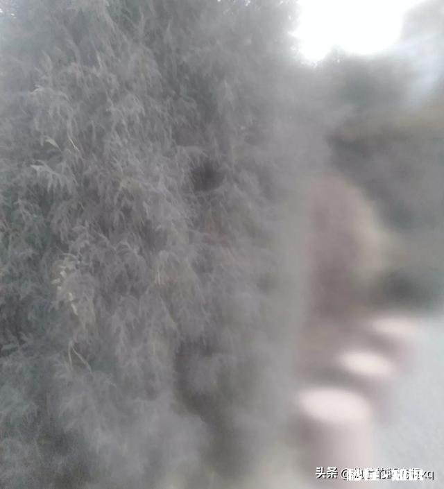 核酸检测点都取消了，大家还怎么知道自己是不是小阳人