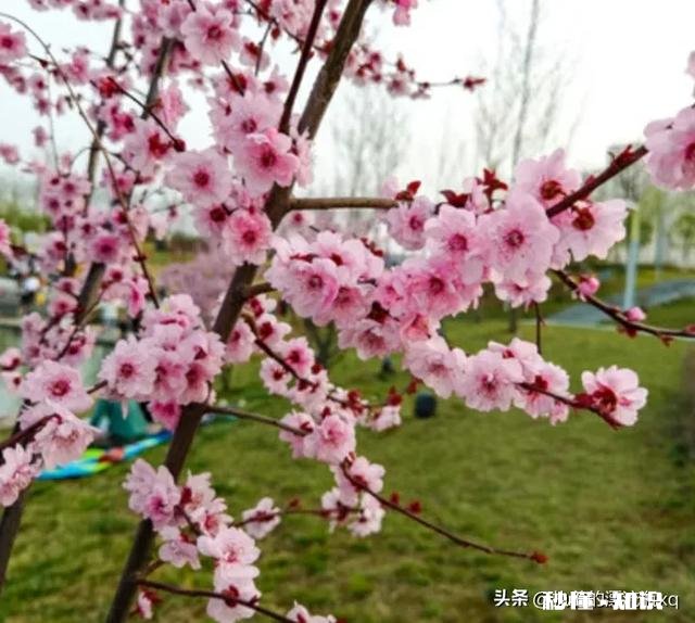 核酸检测点都取消了，大家还怎么知道自己是不是小阳人