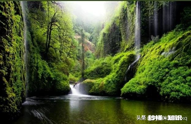 核酸检测点都取消了，大家还怎么知道自己是不是小阳人