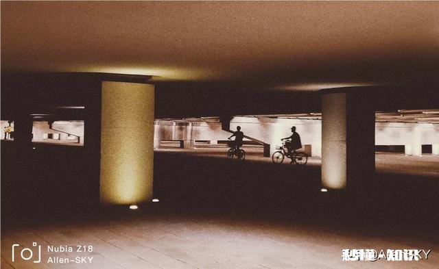 晒一下你用手机拍的最满意的照片