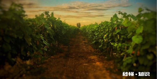 为什么有些摄影爱好者觉得拍不出大片是因为自己用的残幅