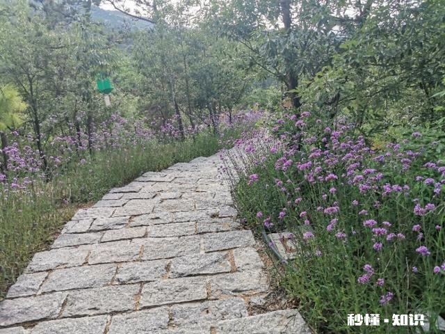 爱老公还是选择更爱自己