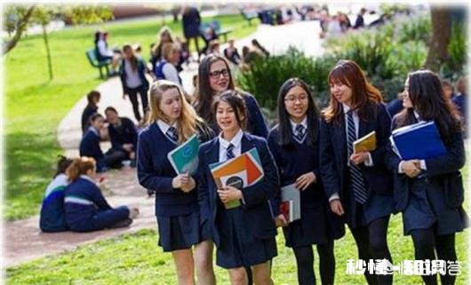 如果再让你参加一次高考，你会选文科还是理科，为什么