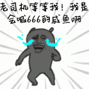 什么龟最大长到20厘米而且性格温顺