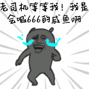 什么龟最大长到20厘米而且性格温顺