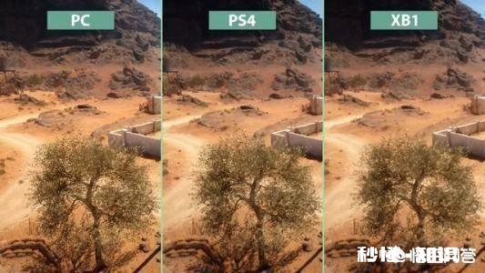 你是偏重于哪一平台的玩家