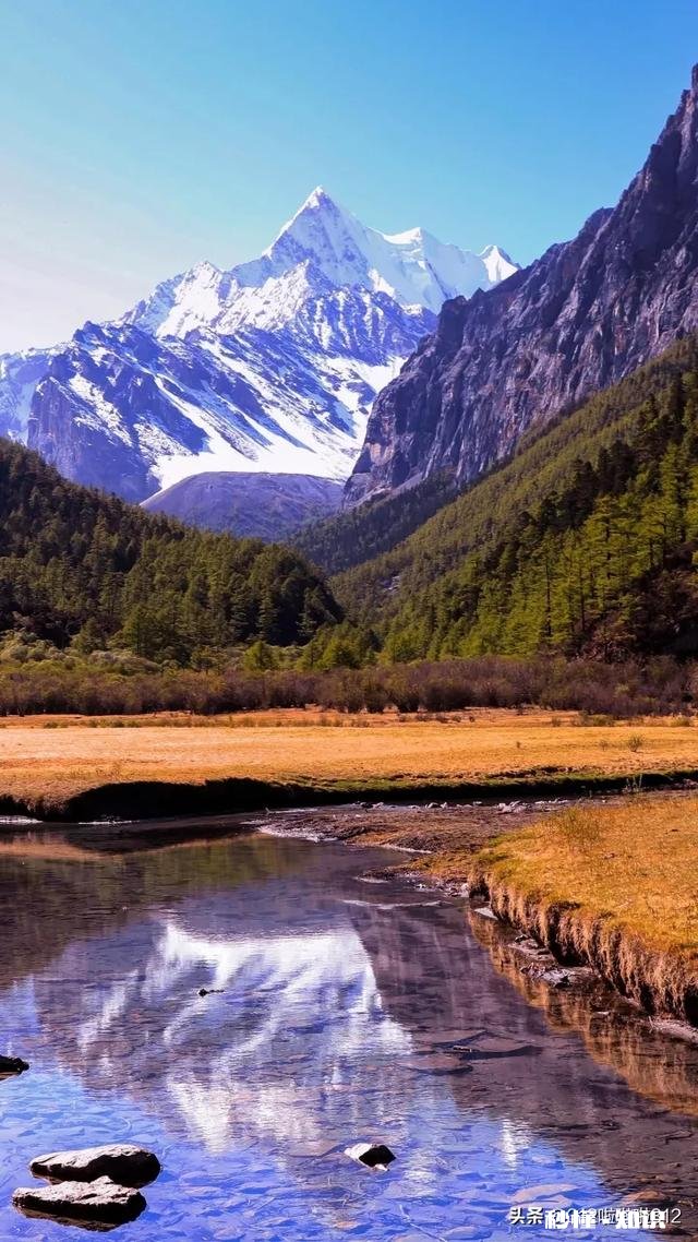 你是偏重于哪一平台的玩家