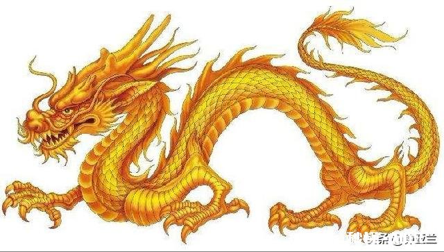 研究龙文化的理论意义是什么