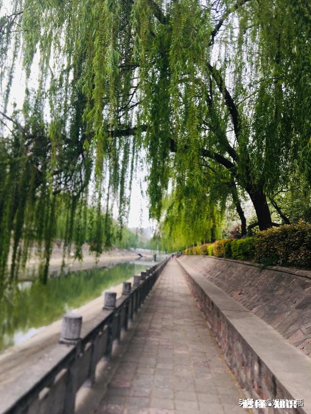 2020年你有木有很迷茫