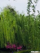 2020年你有木有很迷茫