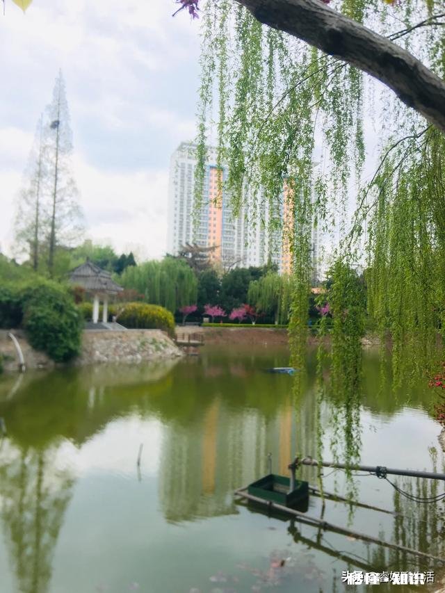 2020年你有木有很迷茫