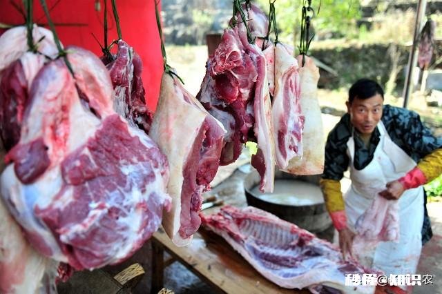 饲料价格下跌，生猪价格下跌，猪农信心受挫，消费常态何日实现