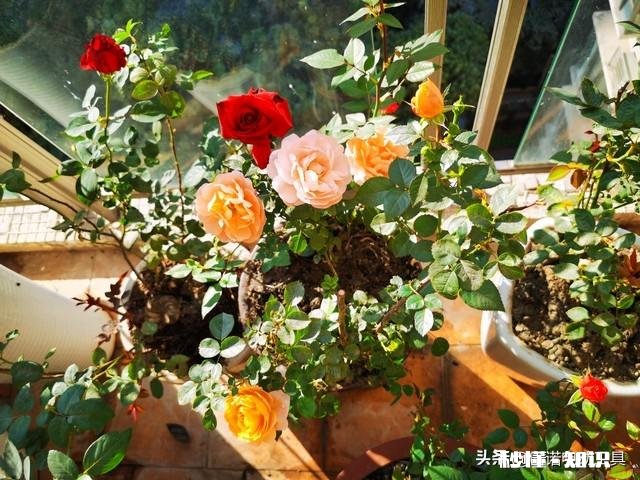 年轻时脾气不好，老了就会好吗