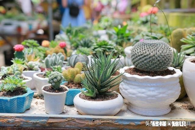 年轻时脾气不好，老了就会好吗