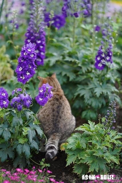 年轻时脾气不好，老了就会好吗