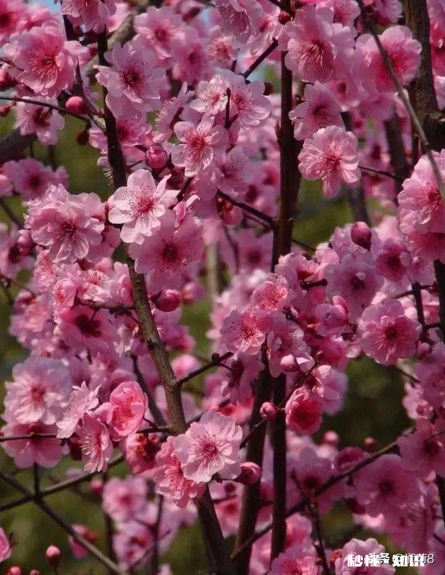 定居是重庆好还是成都好昆明