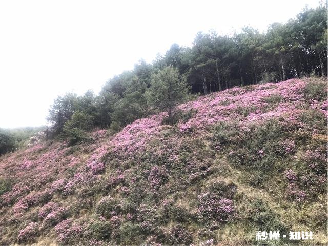 定居是重庆好还是成都好昆明