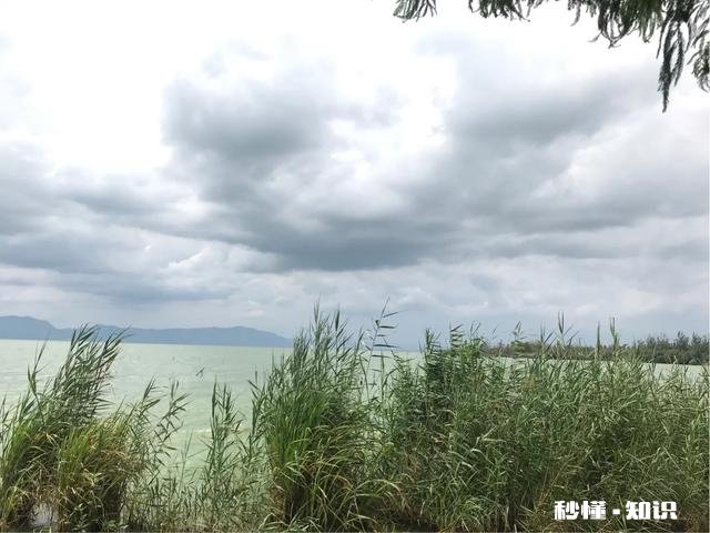 定居是重庆好还是成都好昆明