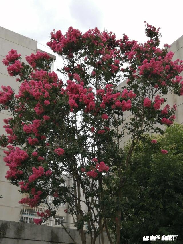 定居是重庆好还是成都好昆明