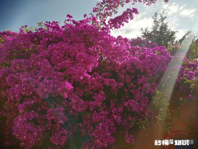 定居是重庆好还是成都好昆明