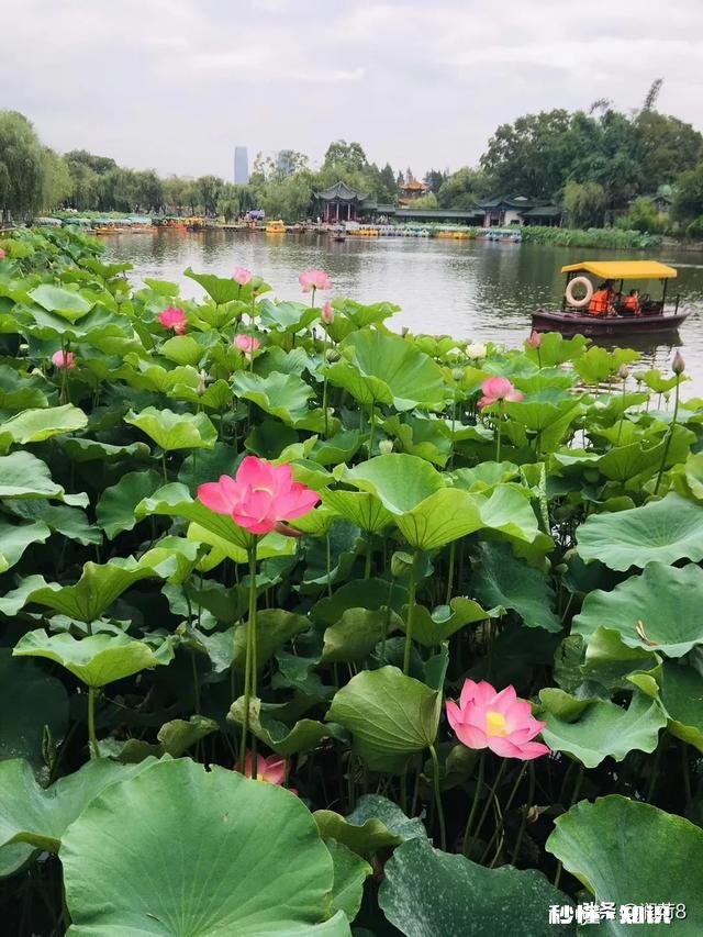 定居是重庆好还是成都好昆明