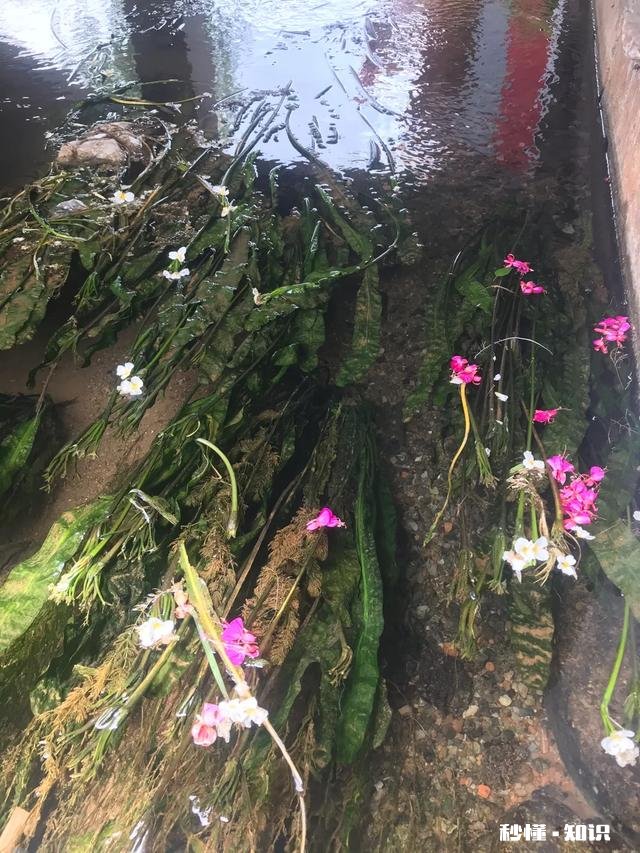 定居是重庆好还是成都好昆明