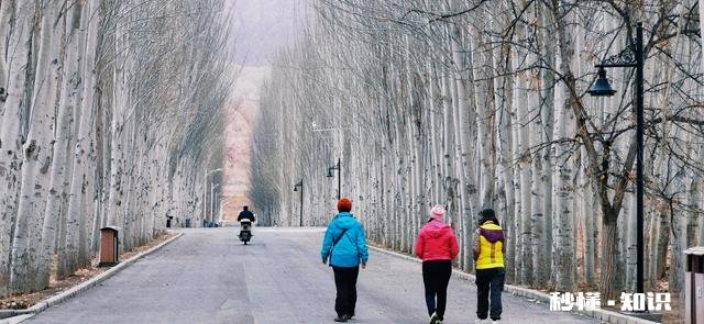 你有什么被偶然拍到或者被偷拍的好看照片吗
