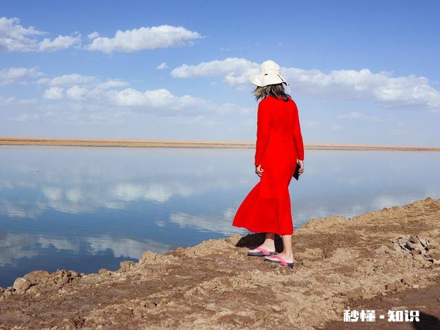 你有什么被偶然拍到或者被偷拍的好看照片吗