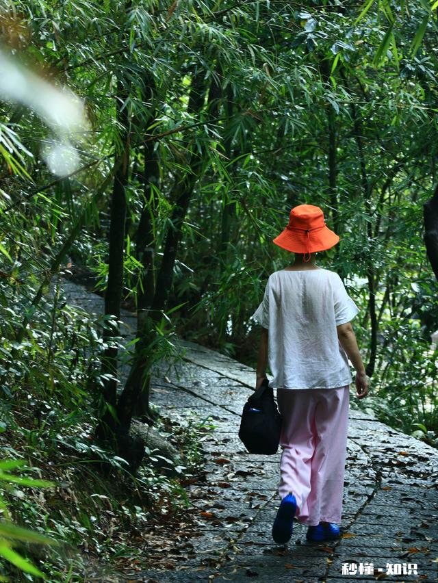 你有什么被偶然拍到或者被偷拍的好看照片吗