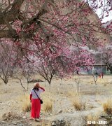 你有什么被偶然拍到或者被偷拍的好看照片吗