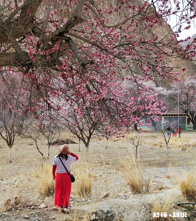 你有什么被偶然拍到或者被偷拍的好看照片吗