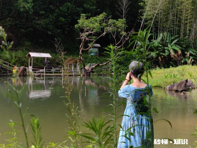 你有什么被偶然拍到或者被偷拍的好看照片吗